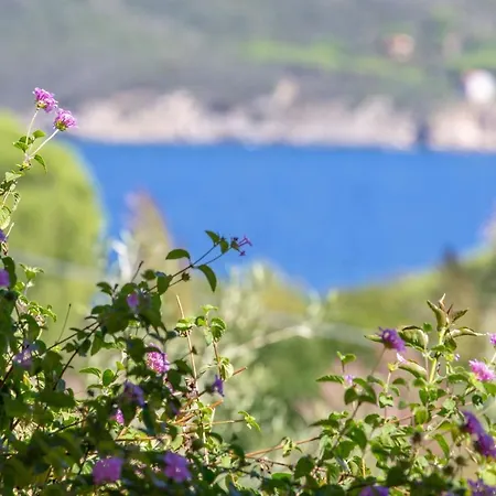 Aries 1 Procchio (Isola d'Elba)